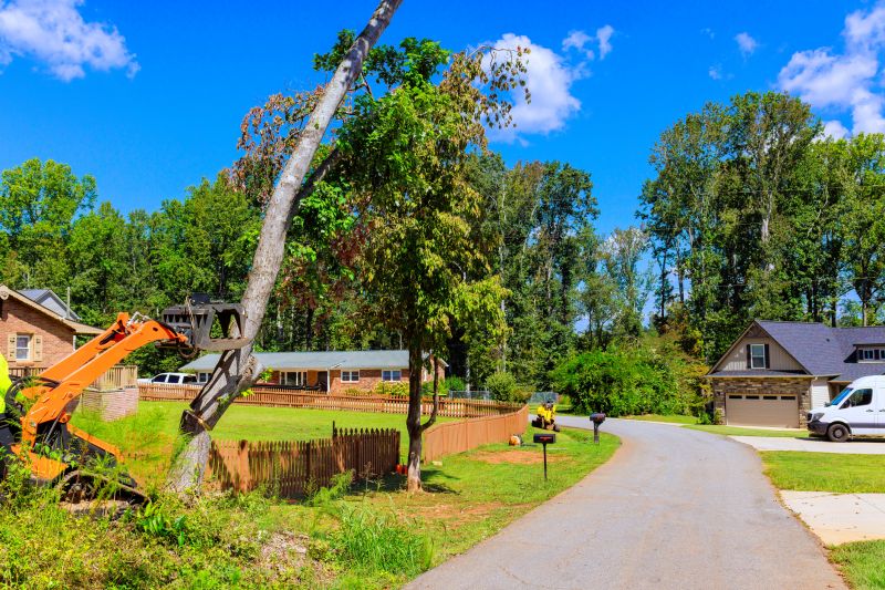 Concrete Dirt Removal