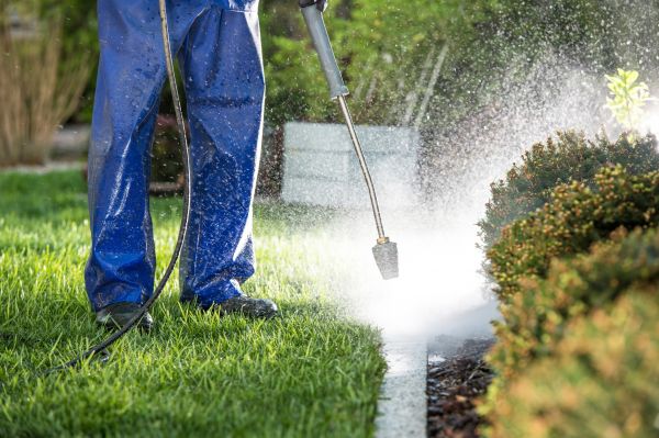 Curb Cleaning in Abilene