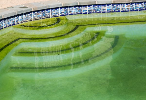 Pool Deck Algae Removal in Abilene