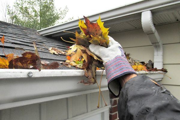 Eaves Cleaning in Abilene