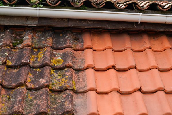 Industrial Roof Cleaning in Abilene